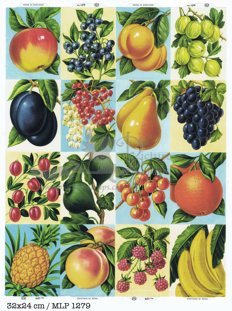 MLP 1279 full sheet fruits.jpg