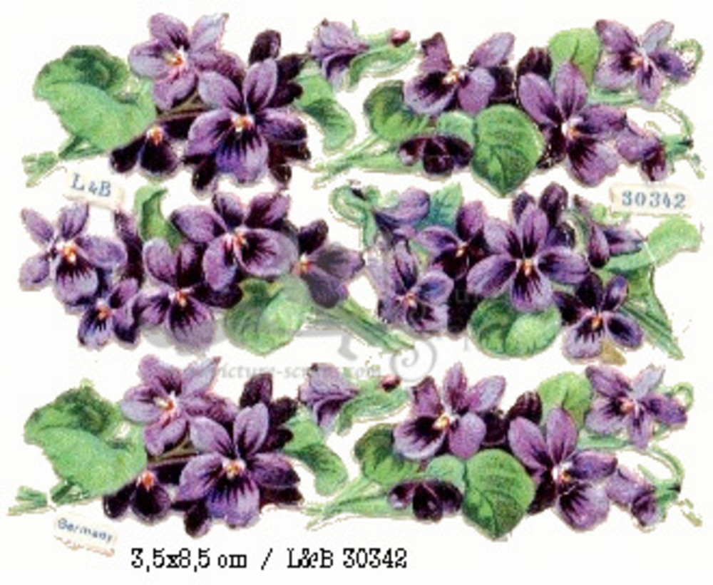 L&B 30342 flowers 8,5 x 3,5 cm.jpg