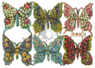 NL 423 buterflies.jpg