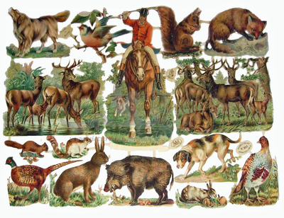 R.Tuck 925 forest animals.jpg