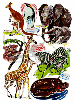 DDR 1234 zoo animals.jpg