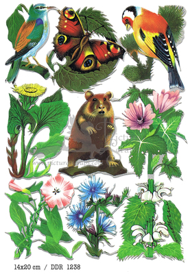 DDR 1238 animals and wild flowers.jpg