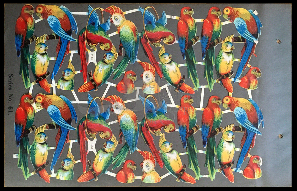 BB 61 Parrots.jpg