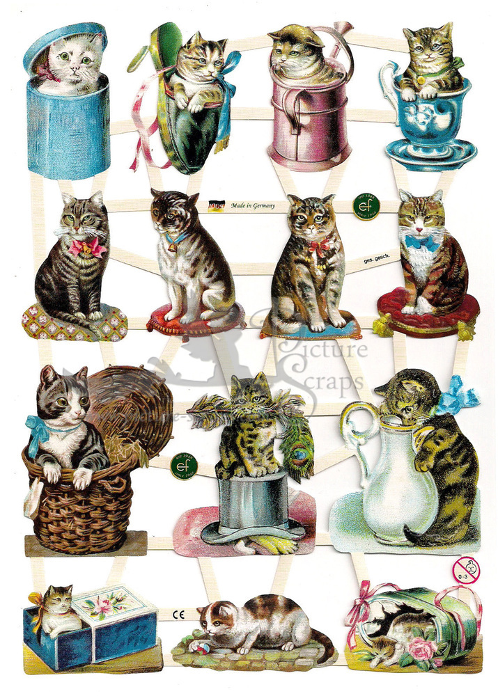 EF 7360 Cats & Kittens In Containers.jpg