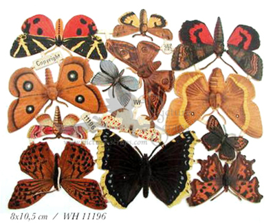 WH 11196 butterflies 5,5x4,5 inch.jpg