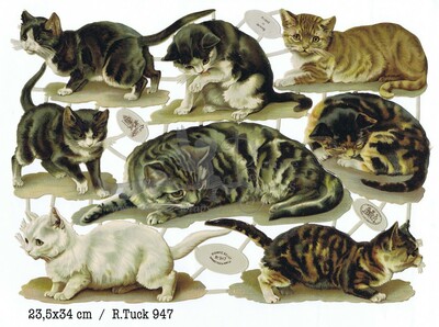 R.Tuck 947 Cats.jpg