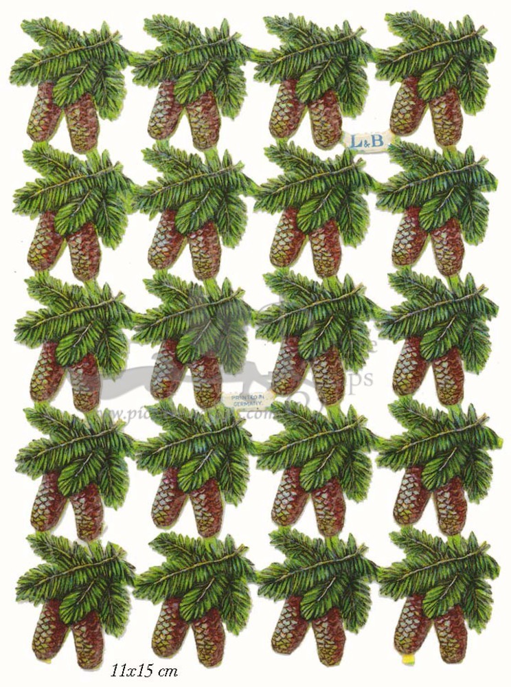 L&B pine cones.jpg