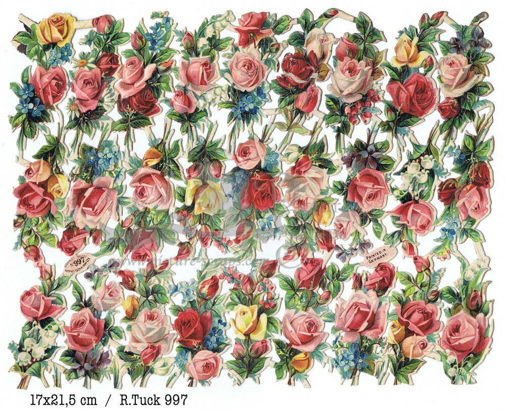 R.Tuck 997 roses.jpg