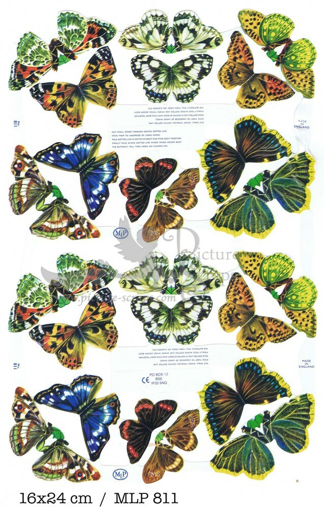 MLP 811 butterflies new.jpg