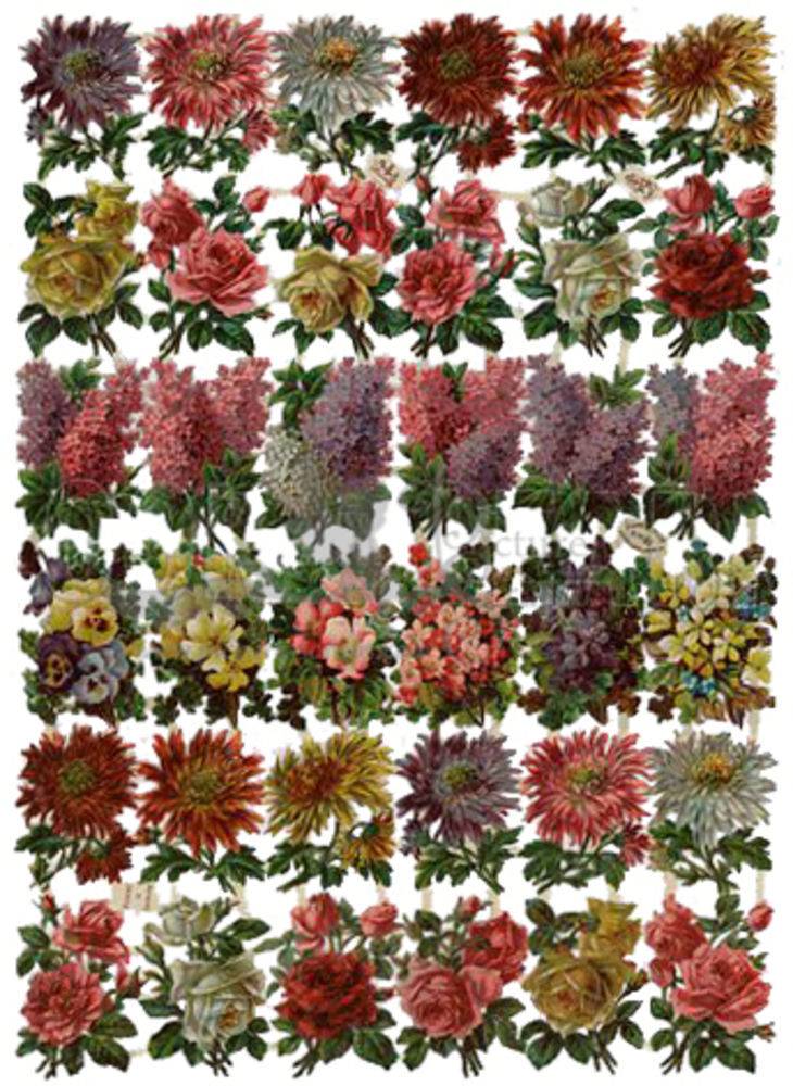 R.Tuck flowers.jpg