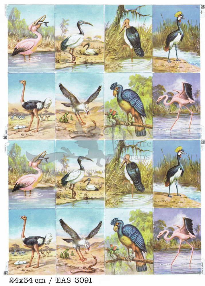 EAS 3091 full sheet large birds.jpg