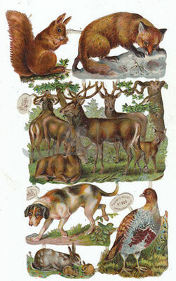 R.Tuck 952 animals.jpg