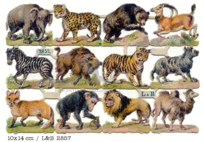 L&B 2857 wild animals.jpg