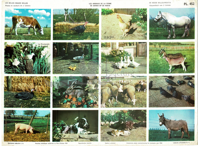 Sablon 452 farm animals.jpg