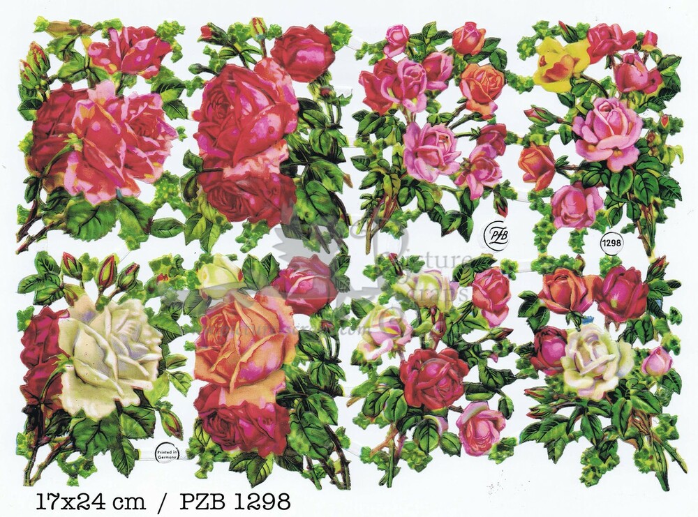 PZB 1298 roses.jpg