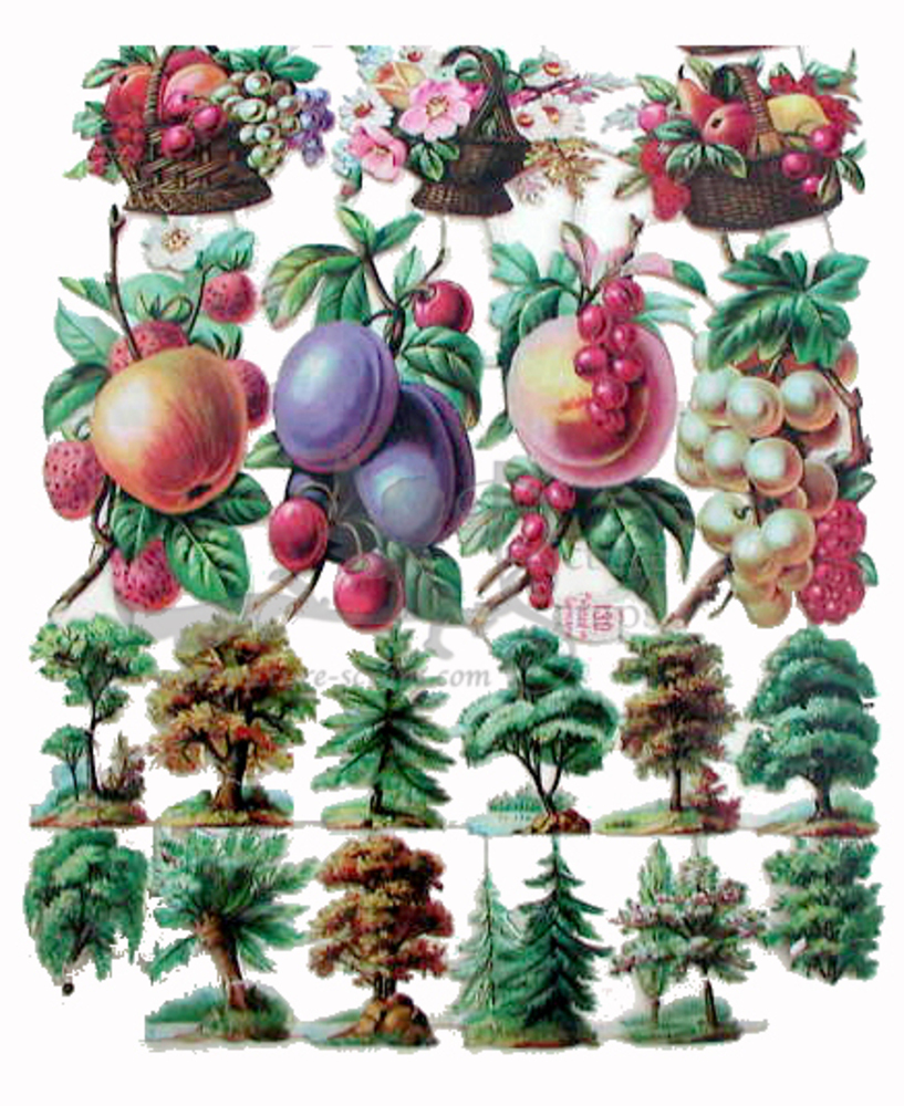 Printed in Germany 130 trees and fruits.jpg