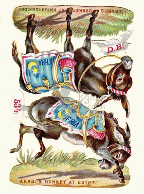 D.B. 534 donkeys.jpg
