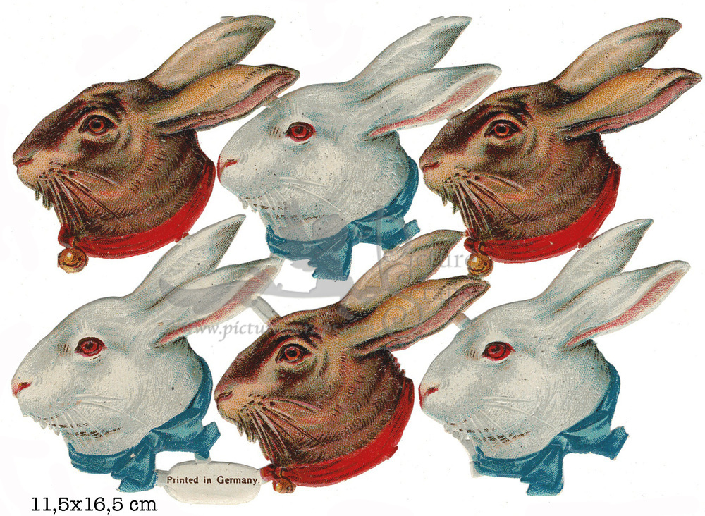 Germany rabbit heads.jpg
