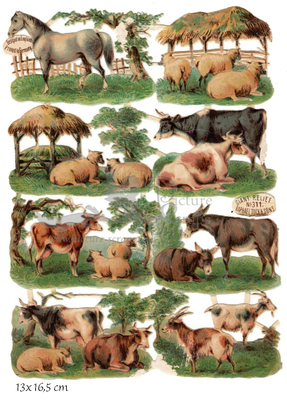 R.Tuck 311 farm animals.jpg