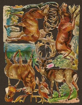 Priester & Eyck deers.jpg