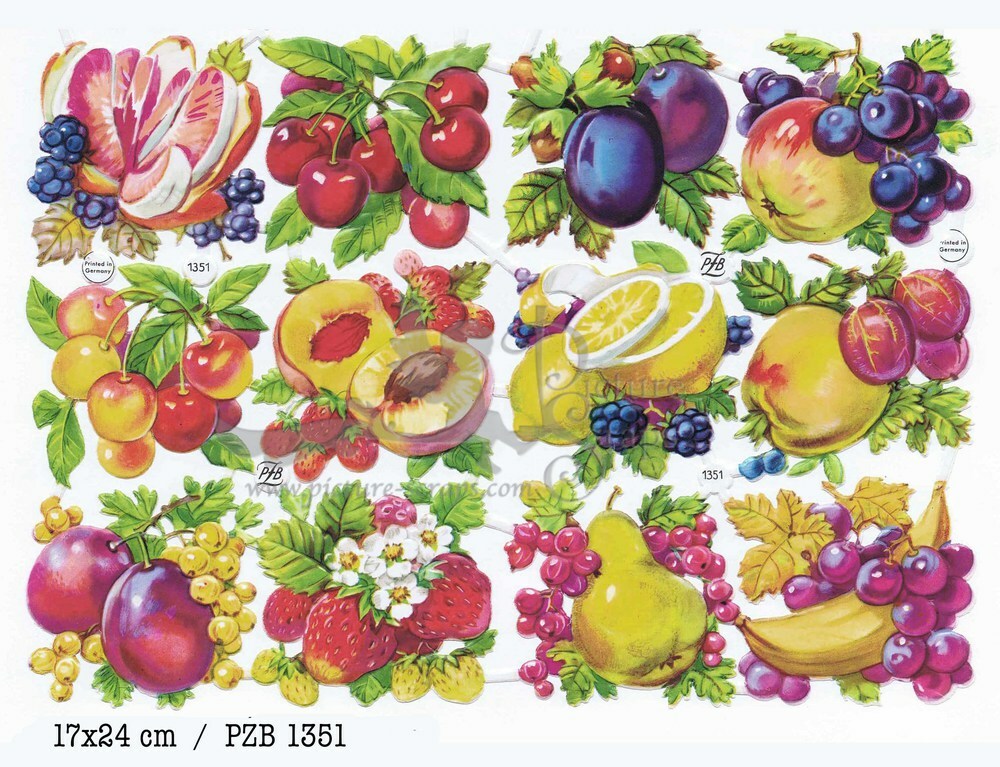 PZB 1351 fruits.jpg