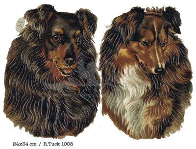 R.Tuck 1008 dogs collies.jpg