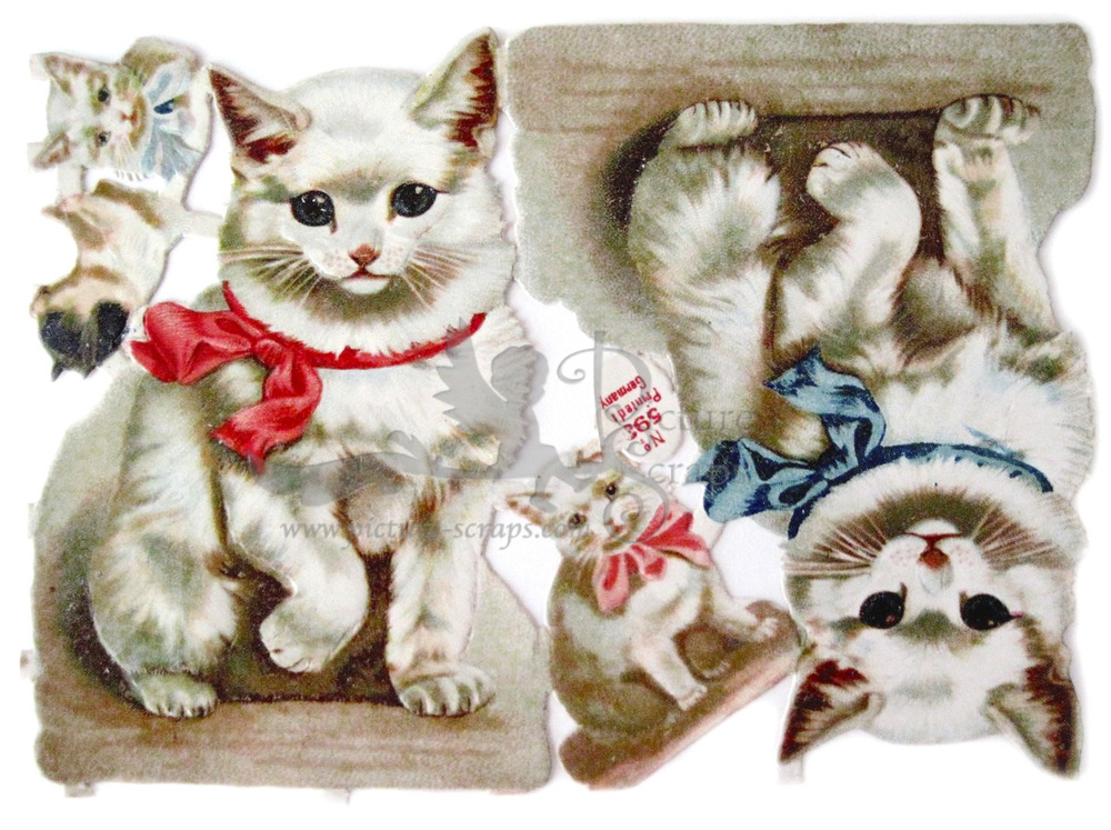 Printed in Germany 593 cats.jpg