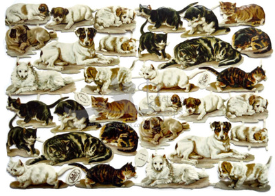 R.Tuck 1015 cats.jpg