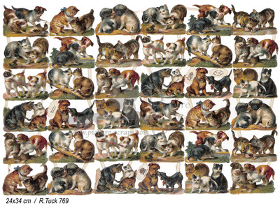 R.Tuck 769 cats and dogs playing.jpg