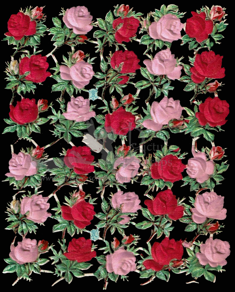 A.Radicke roses with silk.jpg