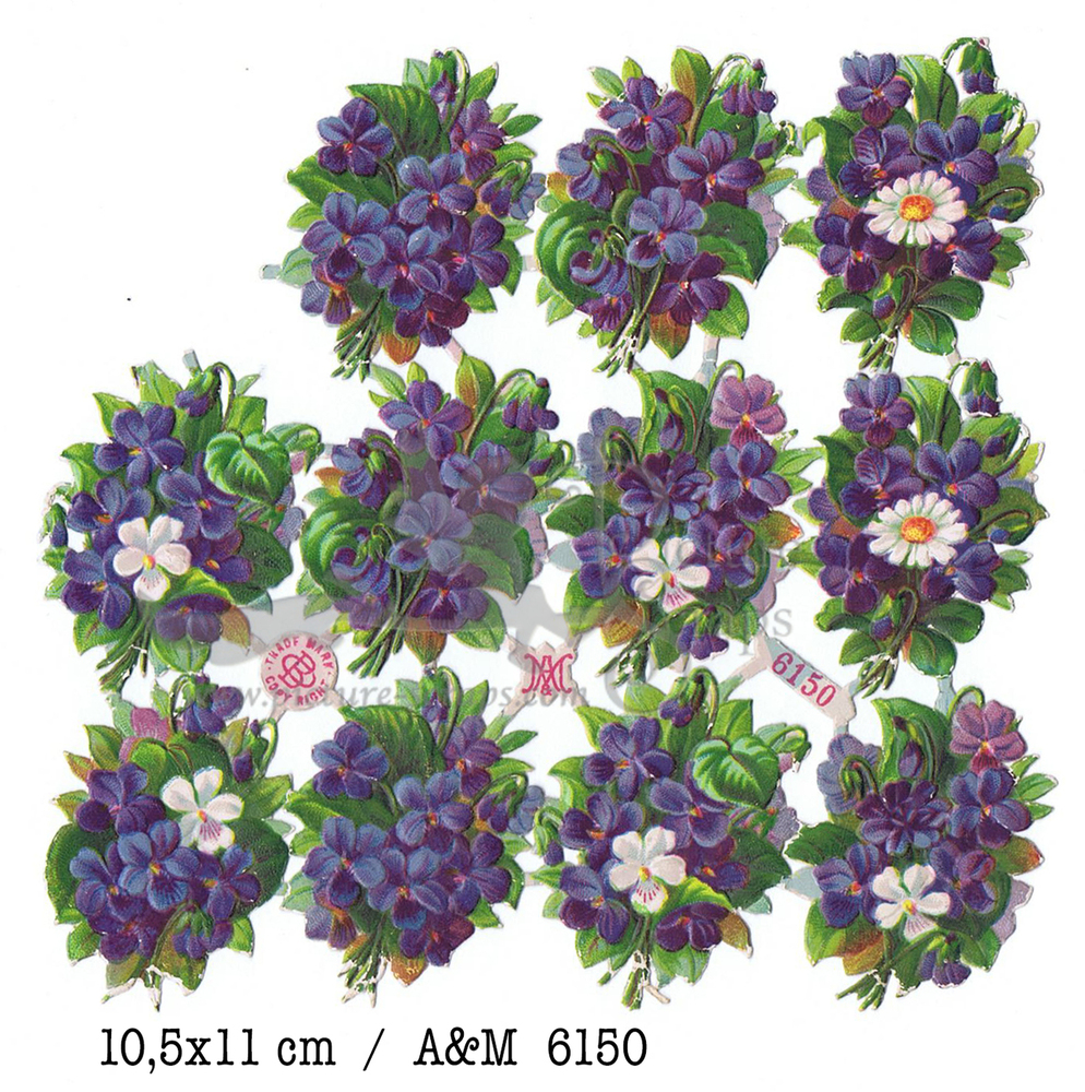 Albrecht & Meister 6150 flowers.jpg