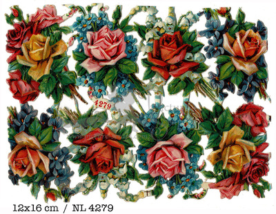nl 4279 roses.jpg