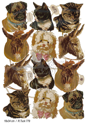 R.Tuck 779 dogs and cats heads.jpg