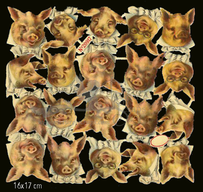 A&M 20917 pigs heads.jpg