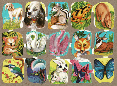 Edivas 11 animals.jpg
