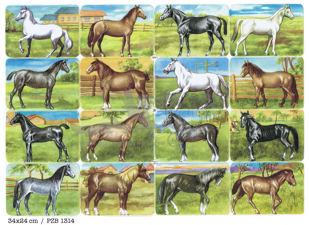 PZB 1314 full sheet horses.jpg