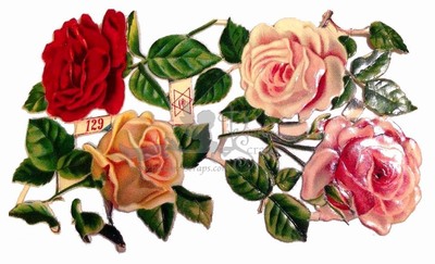 P&E 129 roses.jpg